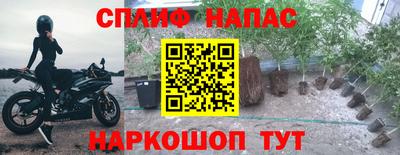 кокаин перу Кингисепп