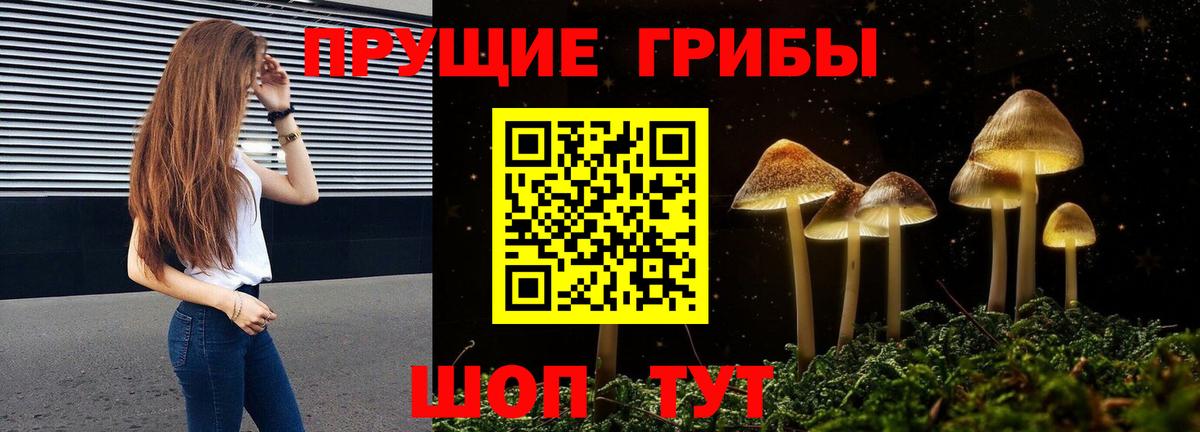 где купить наркоту  Псилоцибиновые грибы прущие грибы  Вход с VPN  Псилоцибиновые грибы MAGIC MUSHROOMS  Красный Сулин 