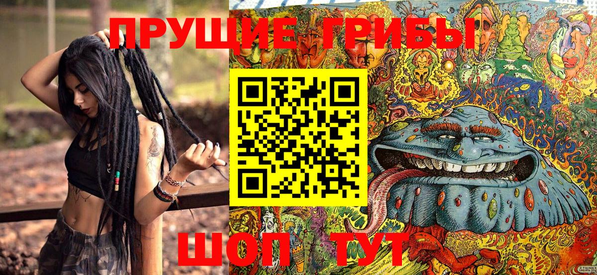 Галлюциногенные грибы Cubensis Красный Сулин