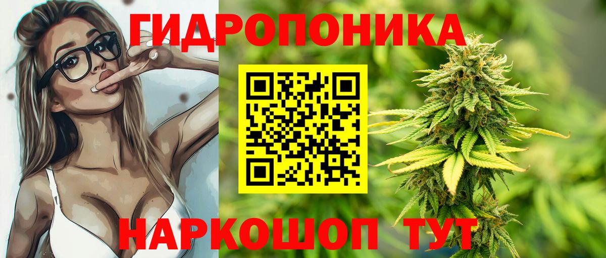 Шишки марихуана OG Kush Красный Сулин